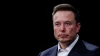 Elon Musk Unveils His Disdain for a Specific Individual